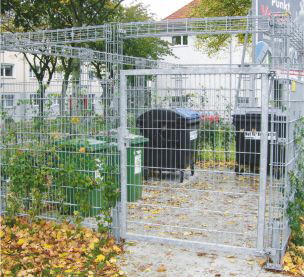 ranksysteme Bild6